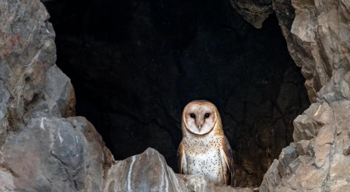 March 2026 Photo Contest Winner - Spencer Covert