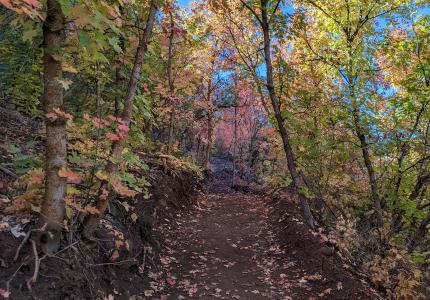 October 2023 Photo Contest Winner - Mikayla Costa