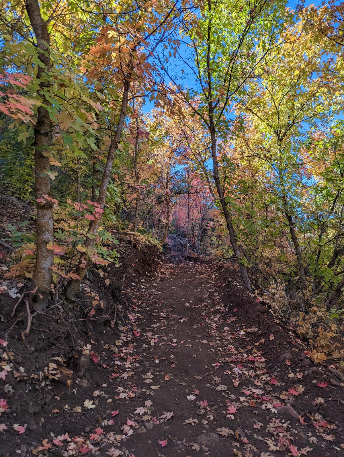 October 2023 Photo Contest Winner - Mikayla Costa